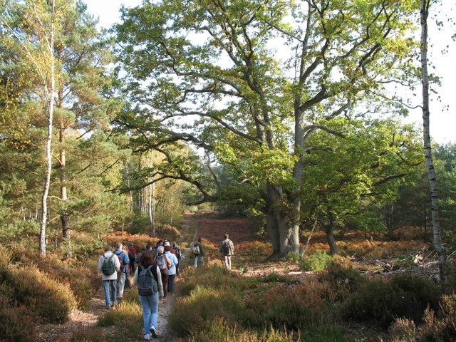 2007 10 Bois de Rochefort 07